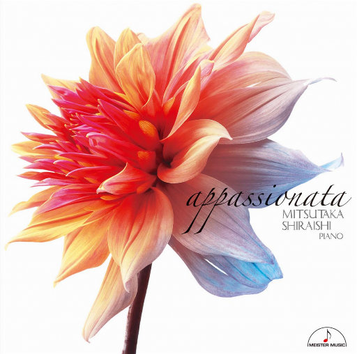 少妇激情综合网
